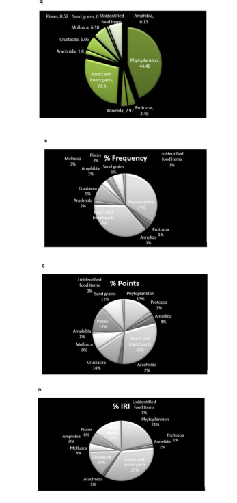 Dietary Compositions and Trophic Levels of Chrysichthys nigrodigitatus (Lacépède) and Lates niloticus (Linné) in Ikere Gorge Reservoir, Oyo State, Nigeria